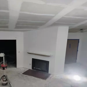 Living room wiht fireplace1
